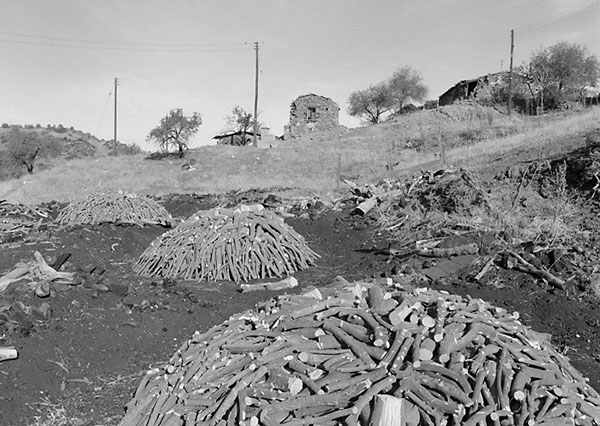 © Thodoris Tzalavras - Charcoal producers in Cyprus