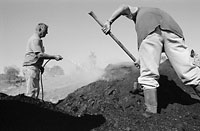 © Thodoris Tzalavras - Charcoal producers in Cyprus