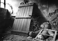 &copy; Thodoris Tzalavras - Charcoal producers in Cyprus